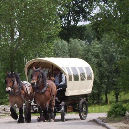 B&B In De Lossen Teugel Erpe-Mere Dış mekan fotoğraf