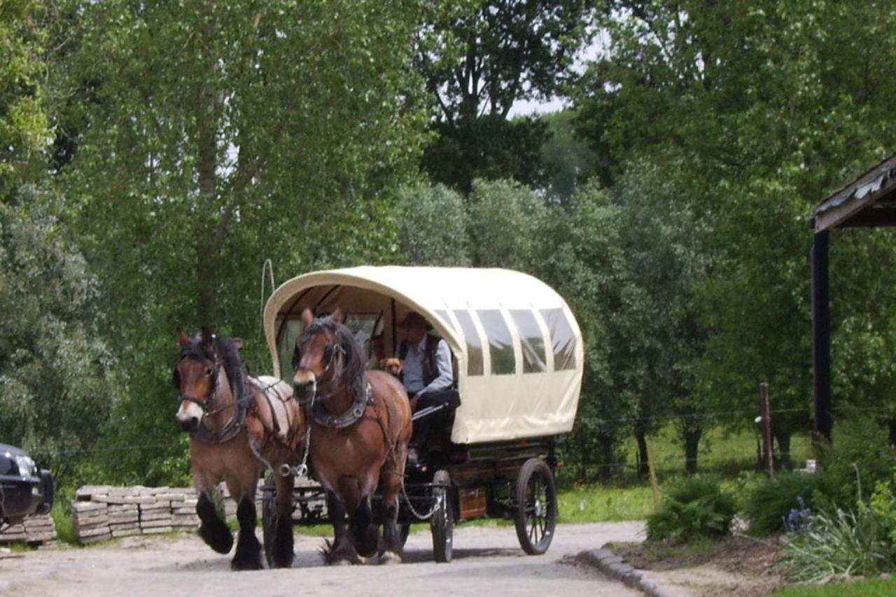 B&B In De Lossen Teugel Erpe-Mere Dış mekan fotoğraf