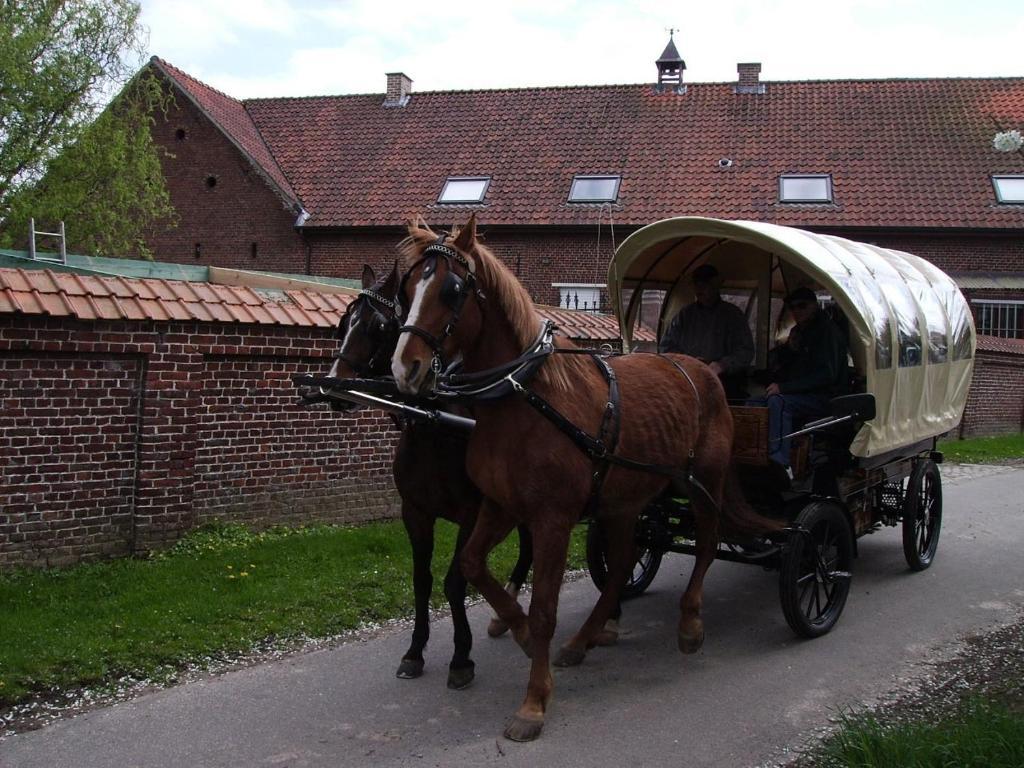 B&B In De Lossen Teugel Erpe-Mere Dış mekan fotoğraf