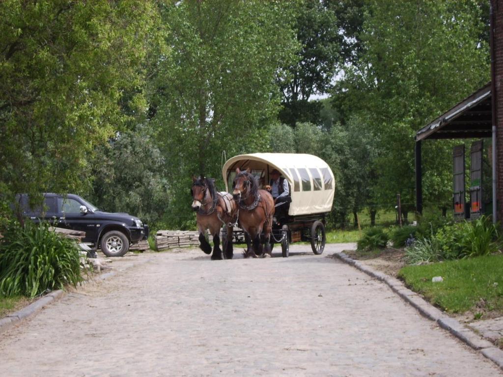 B&B In De Lossen Teugel Erpe-Mere Dış mekan fotoğraf