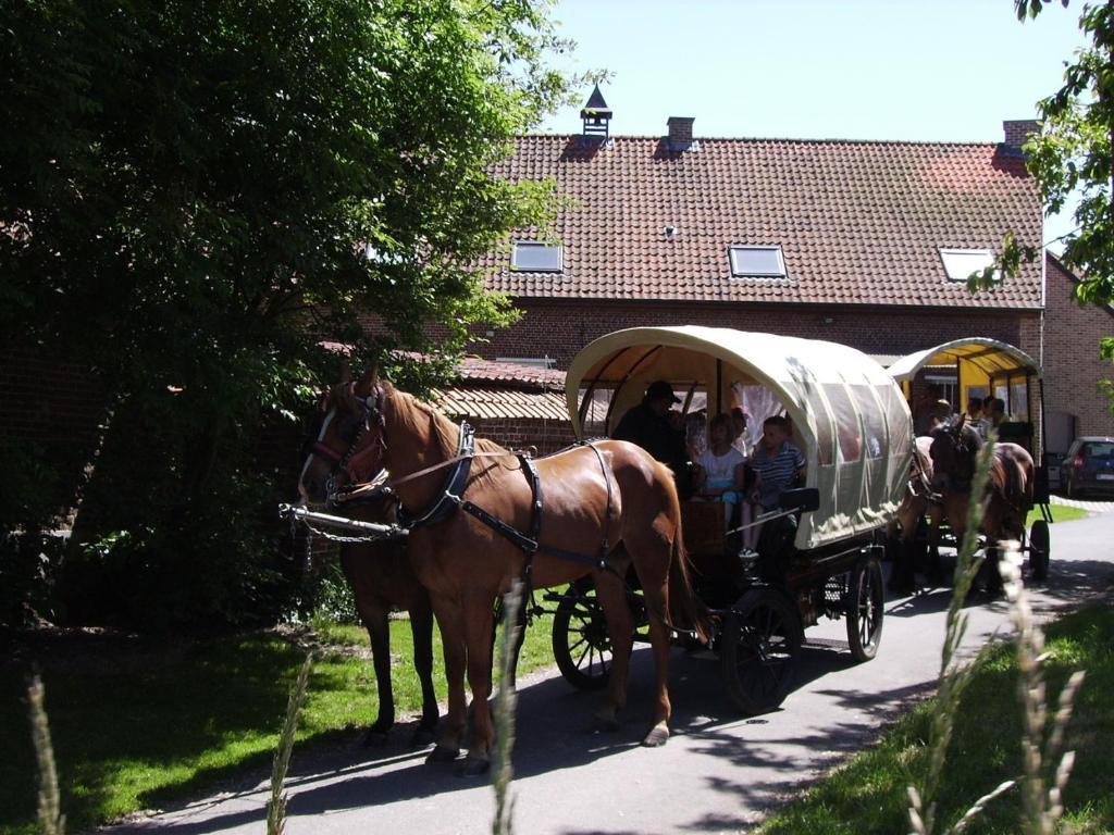 B&B In De Lossen Teugel Erpe-Mere Dış mekan fotoğraf