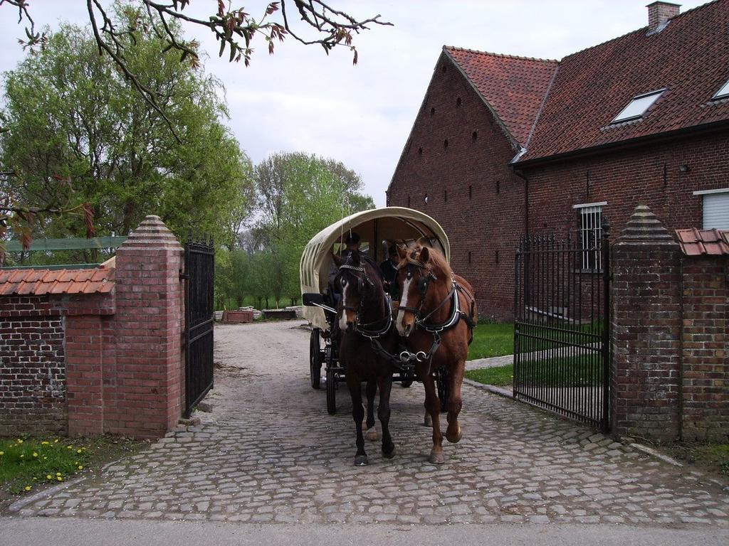 B&B In De Lossen Teugel Erpe-Mere Dış mekan fotoğraf